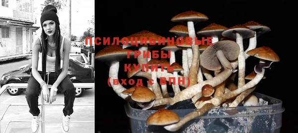 дживик Баксан