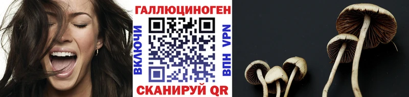 Галлюциногенные грибы Magic Shrooms Микунь