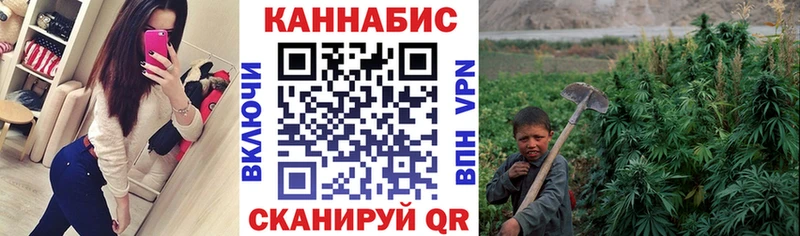 Бошки марихуана сатива  дарк нет официальный сайт  Микунь  где найти наркотики 